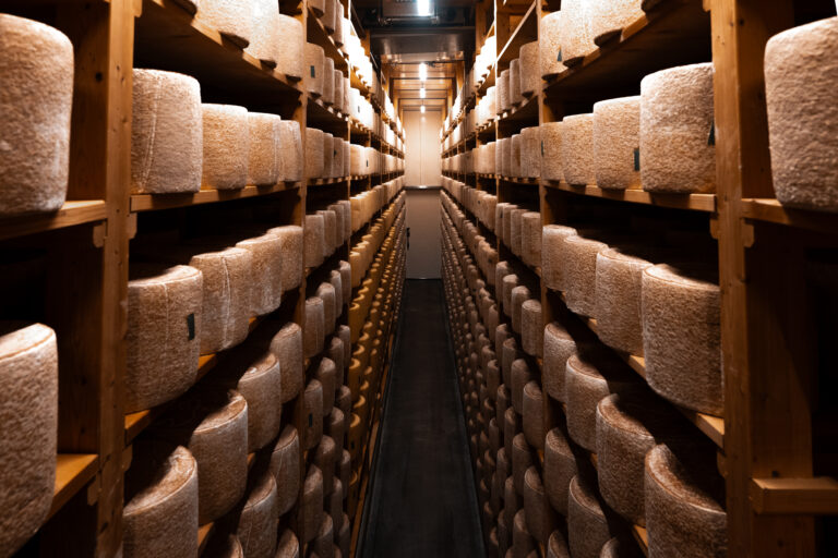 Fromagerie Dischamps